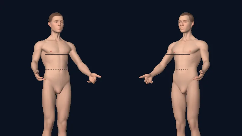Lines drawn on the mannequin stay on the body when you turn it
